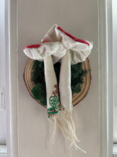 Load image into Gallery viewer, Mushroom Taxidermy Pair