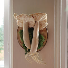 Load image into Gallery viewer, Mushroom Taxidermy Pair