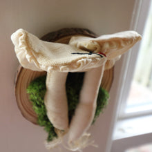 Load image into Gallery viewer, Mushroom Taxidermy Pair