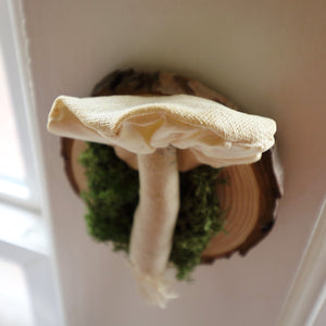 Mushroom Taxidermy