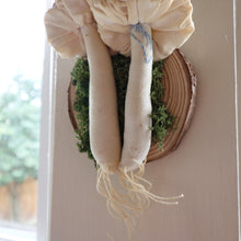 Load image into Gallery viewer, Mushroom Taxidermy Pair