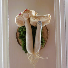 Load image into Gallery viewer, Mushroom Taxidermy Pair