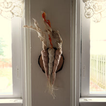 Load image into Gallery viewer, Carrot Trio Taxidermy