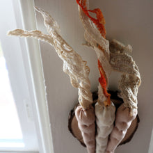 Load image into Gallery viewer, Carrot Trio Taxidermy