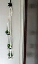 Load image into Gallery viewer, Hanging Planter