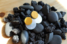 Load image into Gallery viewer, Mustard and Shell Double Disc Posts