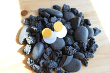 Load image into Gallery viewer, Mustard and Shell Double Disc Posts