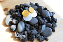 Load image into Gallery viewer, Mustard and Shell Double Disc Posts