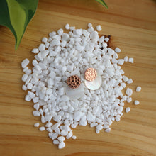 Load image into Gallery viewer, Copper and Shell Double Disc Posts