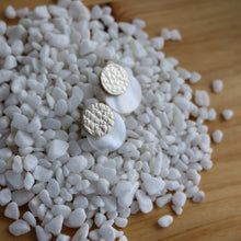 Load image into Gallery viewer, Champagne and Shell Double Disc Posts